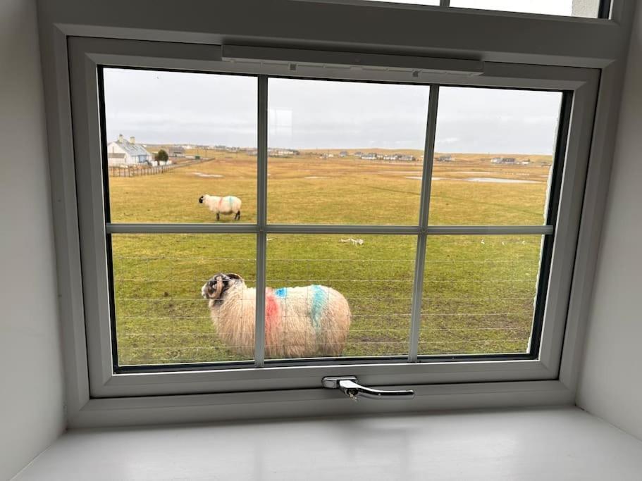 Modern Refurbished Church Nr Butt Of Lewis Beaches Port of Ness Экстерьер фото